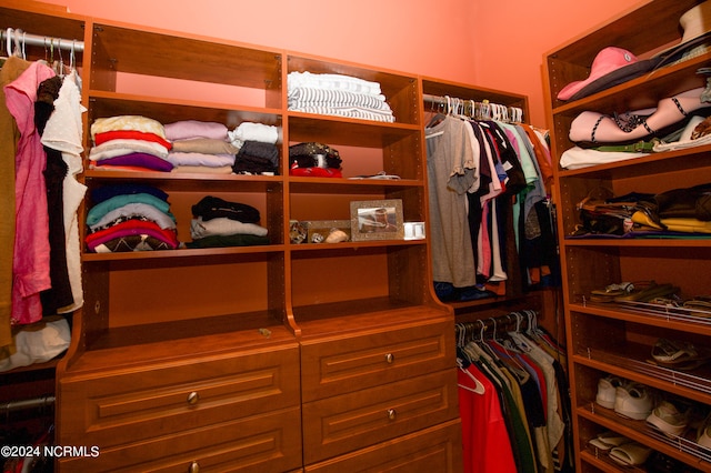 view of walk in closet