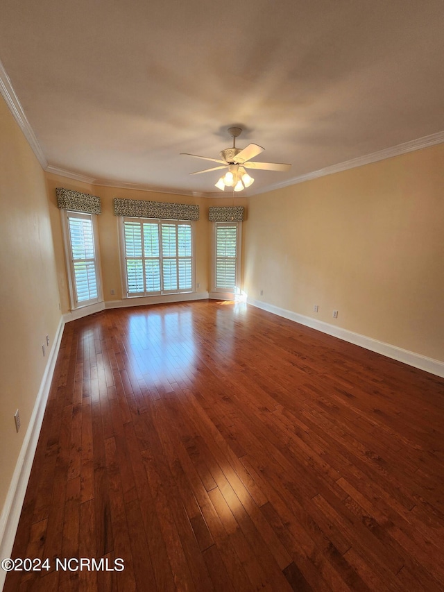 spare room featuring a wealth of natural light, dark wood finished floors, and ornamental molding