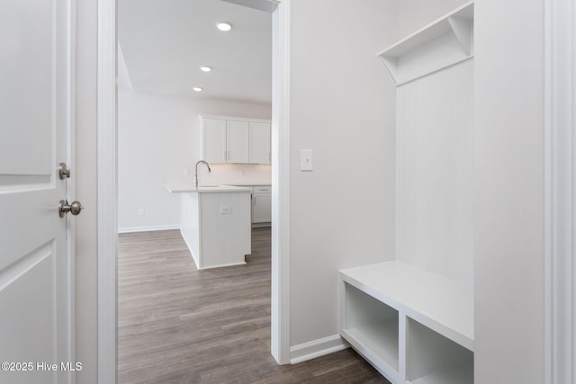 mudroom with dark wood-type flooring and sink