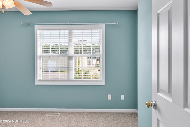 carpeted spare room featuring ceiling fan and a wealth of natural light