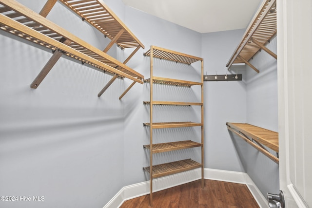 walk in closet featuring dark wood-style flooring