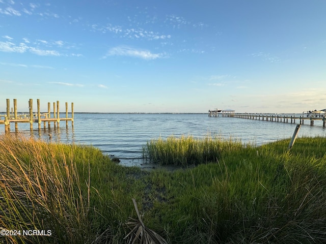 water view featuring a boat dock