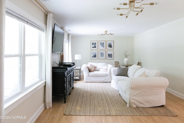 living room with hardwood / wood-style flooring and a healthy amount of sunlight