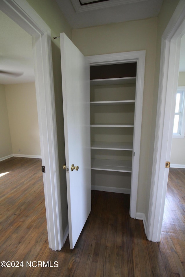 view of closet