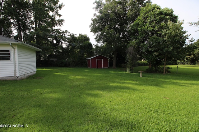 view of yard featuring a storage shed