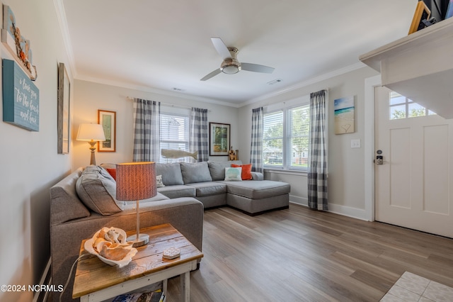 living room featuring ceiling fan, crown molding, and hardwood / wood-style floors