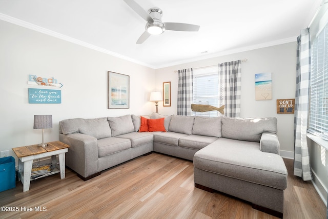 living room featuring crown molding, ceiling fan, and light wood-type flooring