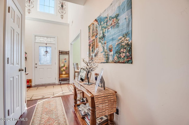 entryway featuring hardwood / wood-style floors and a high ceiling