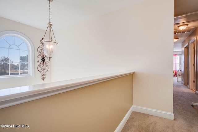 corridor with carpet floors and a wealth of natural light