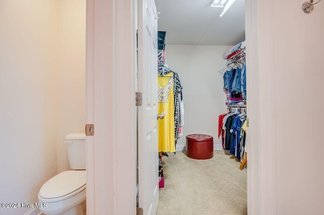 walk in closet featuring carpet flooring