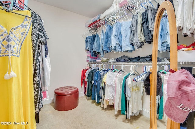 walk in closet with carpet flooring