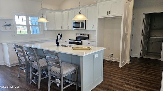 kitchen featuring white cabinetry, appliances with stainless steel finishes, dark wood finished floors, and a sink