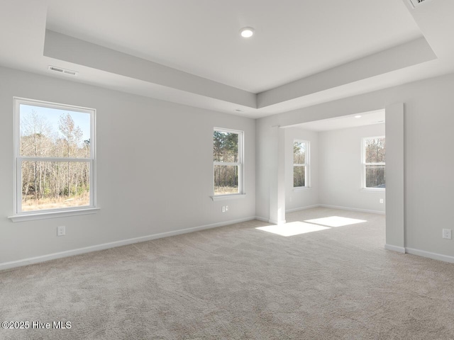 carpeted spare room with a healthy amount of sunlight and a tray ceiling