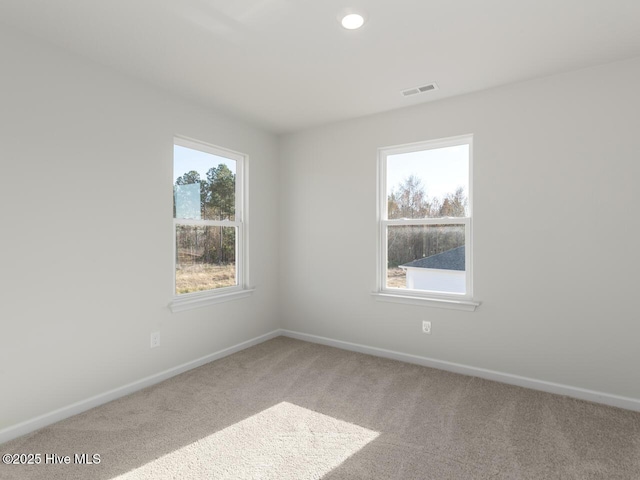 carpeted empty room featuring a wealth of natural light