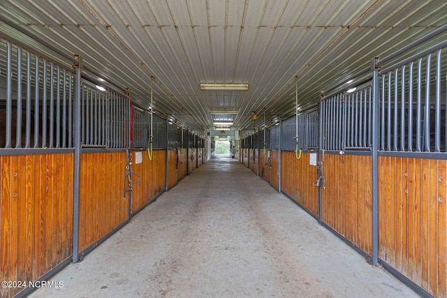 view of horse barn