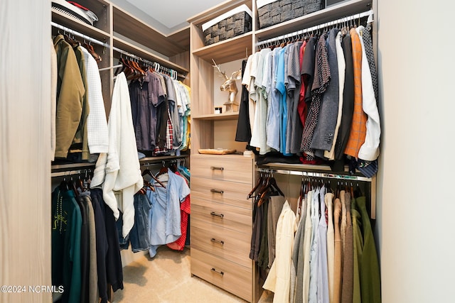 walk in closet featuring light carpet