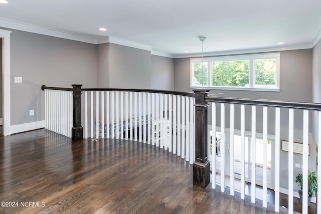 hall featuring crown molding and dark wood-type flooring