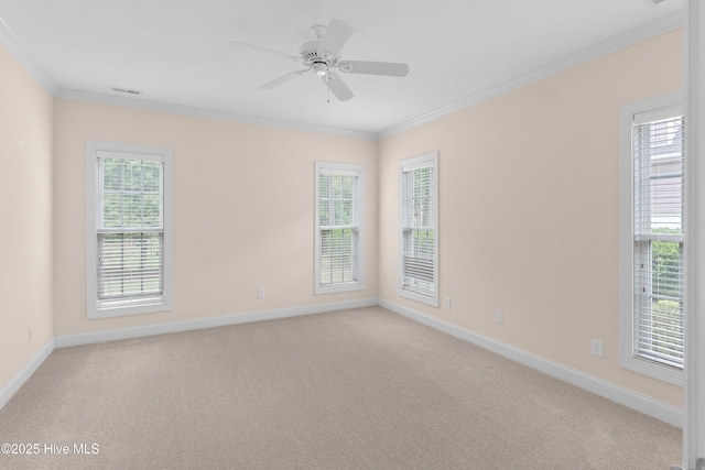 2788 Creek Bridge Ct, Southport, NC 28461 - empty room featuring ornamental molding, baseboards, light colored carpet, and plenty of natural light