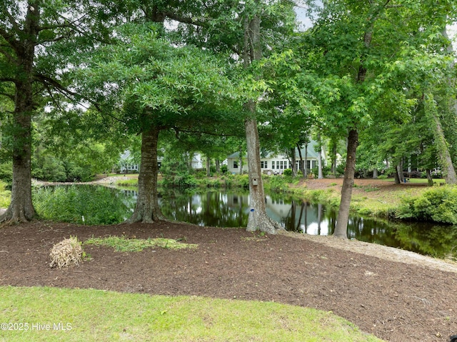 2788 Creek Bridge Ct, Southport, NC 28461 - view of yard with a water view