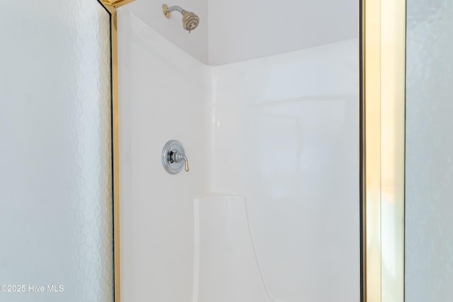 2788 Creek Bridge Ct, Southport, NC 28461 - bathroom view of a shower