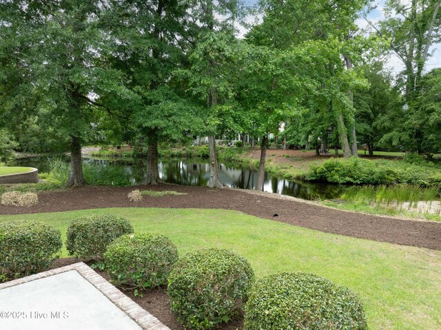 2788 Creek Bridge Ct, Southport, NC 28461 - view of green lawn featuring a water view