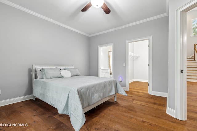 bedroom featuring a closet, hardwood / wood-style flooring, crown molding, a spacious closet, and ceiling fan