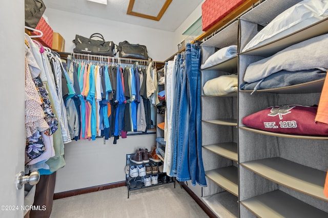 spacious closet featuring carpet flooring