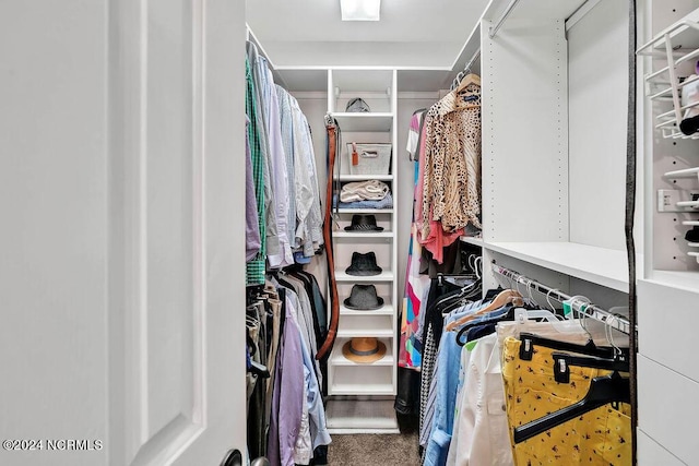 walk in closet featuring carpet