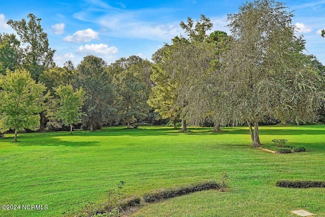 view of home's community with a yard