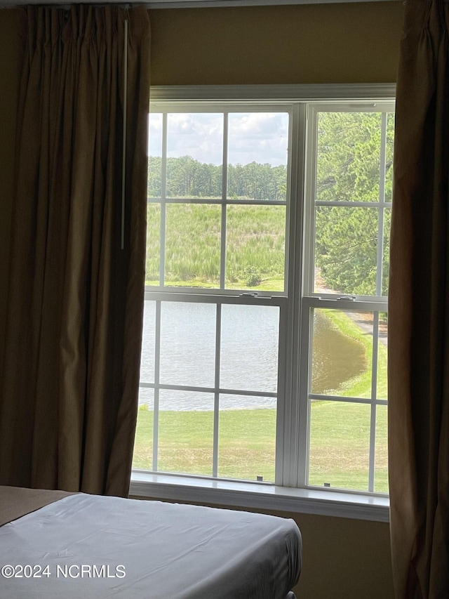 bedroom featuring multiple windows and a water view