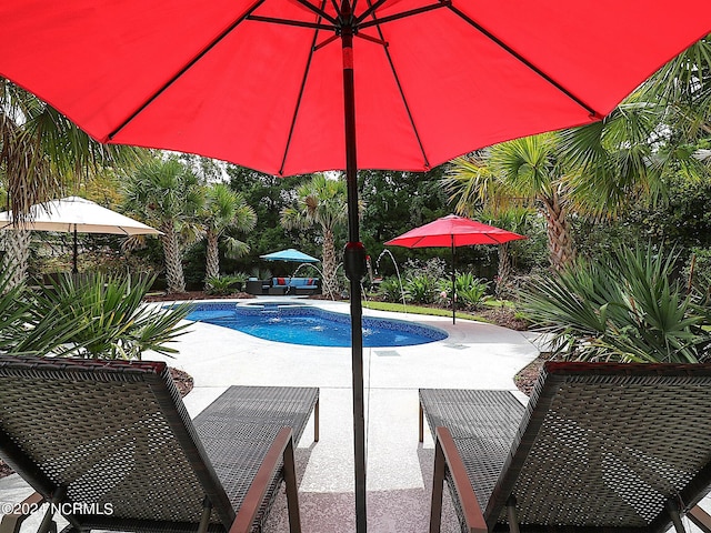 view of swimming pool with a patio area