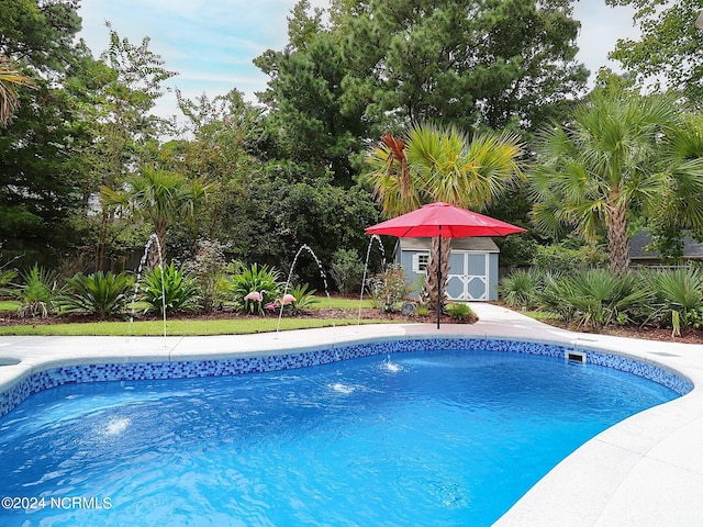 view of pool featuring a storage unit