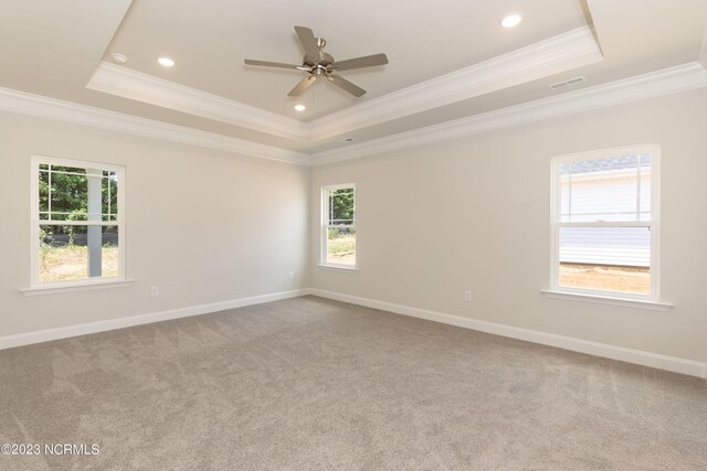 carpeted empty room with a wealth of natural light, a raised ceiling, and ceiling fan