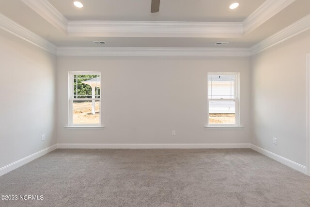 empty room with carpet flooring, crown molding, and a raised ceiling