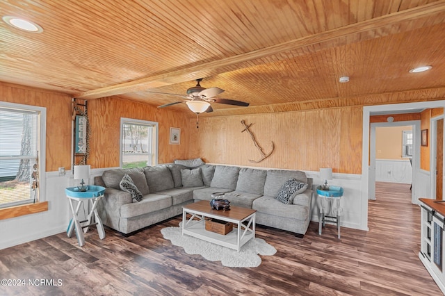 living room with plenty of natural light, ceiling fan, wooden walls, and dark hardwood / wood-style flooring