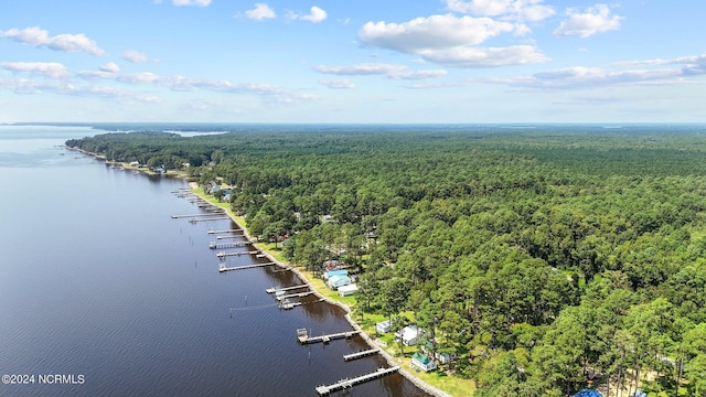 bird's eye view with a water view and a view of trees