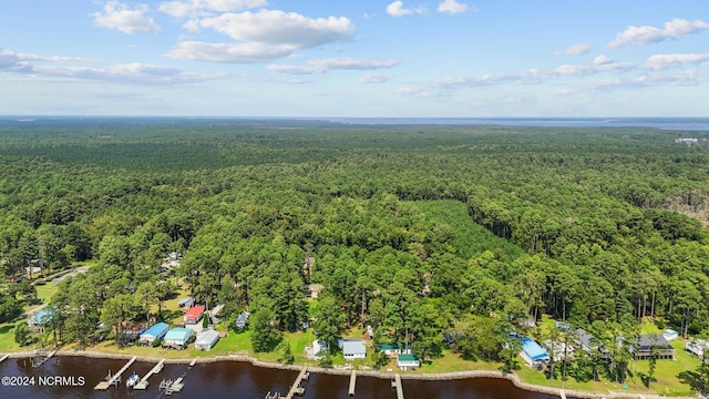 birds eye view of property featuring a water view and a view of trees