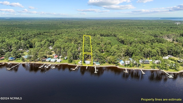 bird's eye view with a water view and a wooded view