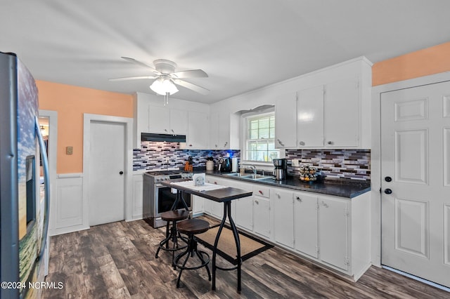 kitchen featuring appliances with stainless steel finishes, white cabinetry, ceiling fan, and dark hardwood / wood-style floors