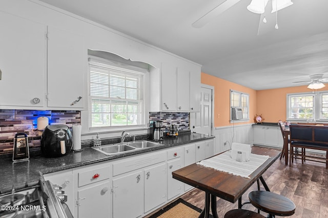 kitchen featuring dark wood-type flooring, plenty of natural light, a sink, and a ceiling fan