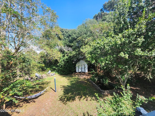 view of yard featuring a storage unit