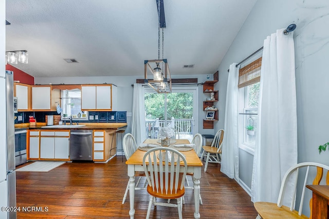 dining area featuring a wealth of natural light, vaulted ceiling, dark hardwood / wood-style floors, and sink