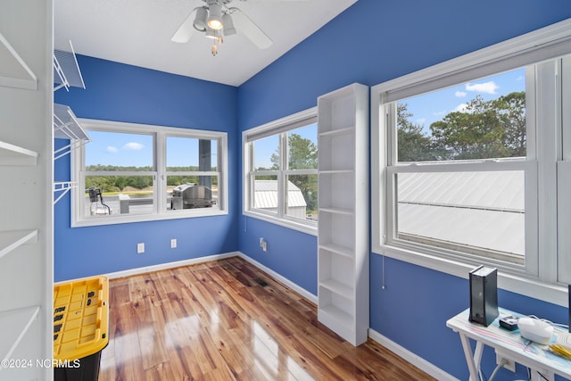 empty room featuring ceiling fan and hardwood / wood-style floors