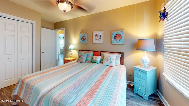 bedroom with multiple windows, a closet, dark wood-type flooring, and ceiling fan