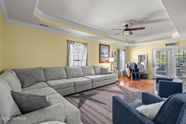 living room with ceiling fan, plenty of natural light, and a raised ceiling