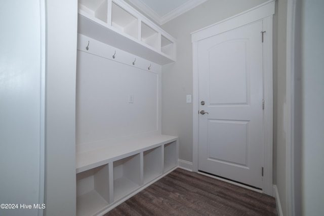 mudroom with crown molding and dark wood finished floors