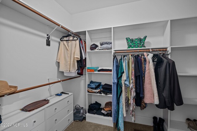 walk in closet with carpet