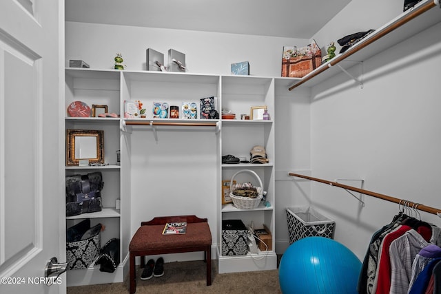 walk in closet featuring carpet flooring