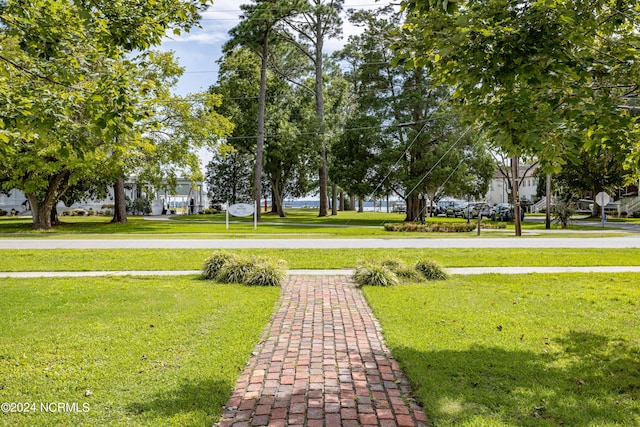 view of home's community with a yard