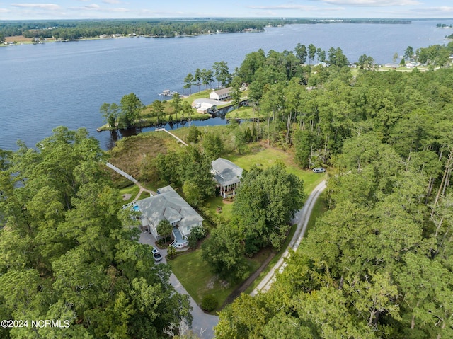 drone / aerial view featuring a water view and a view of trees